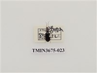 藏品(步行蟲(1))的圖片